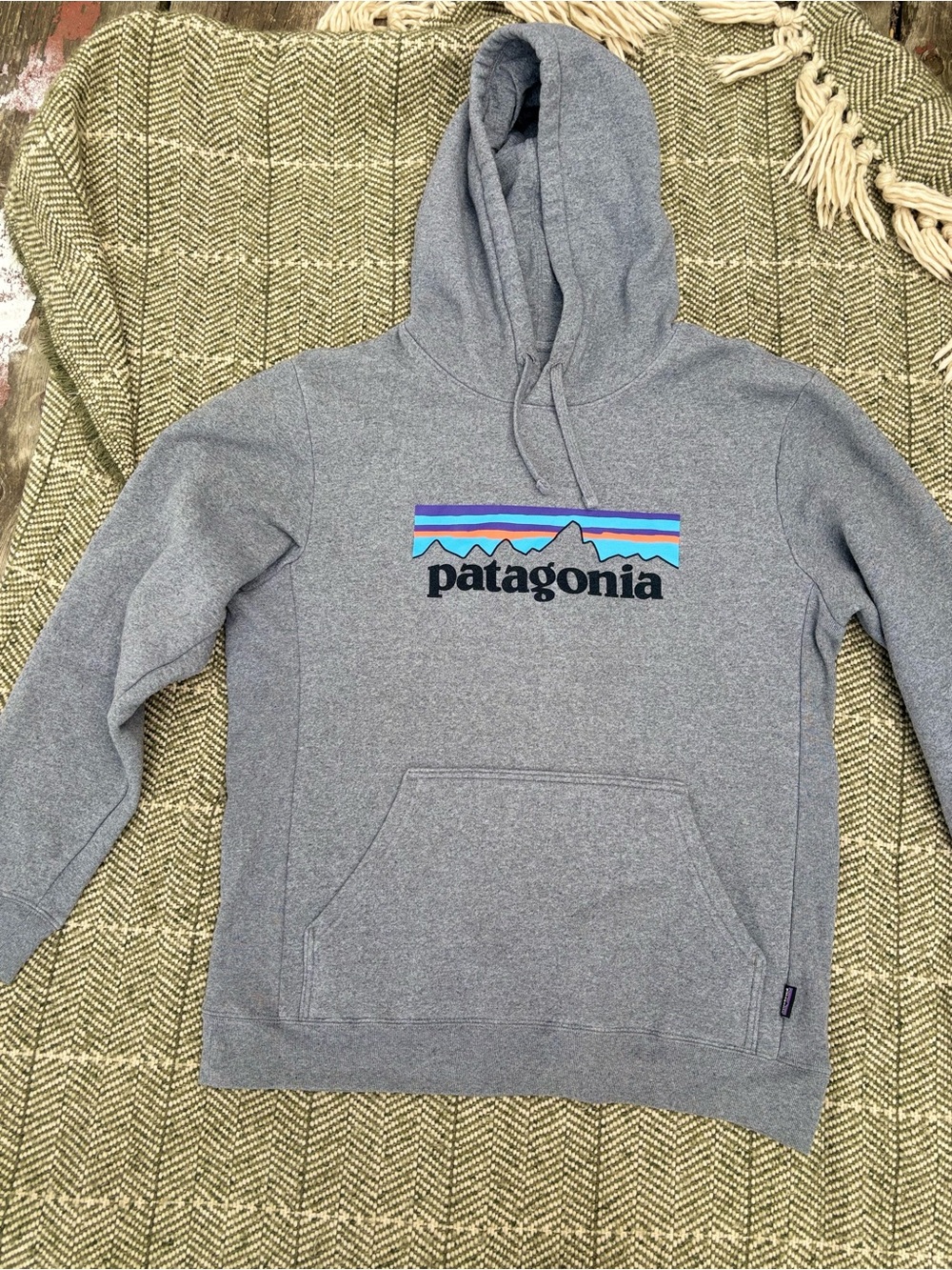 Patagonia Gray Pullover Hoodie with Multicolor Logo